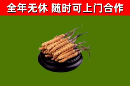 通榆烟酒回收冬虫夏草.jpg